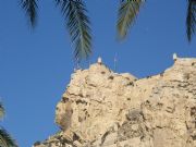 Castillo y cara del Moro. Alicante, Comunidad Valenciana